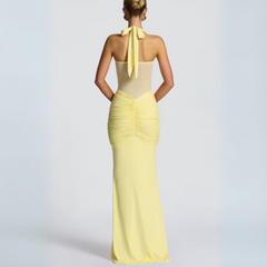 Dalina - Elegance Ruched Mesh-Panel Maxi Dress