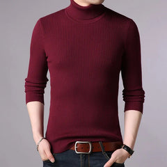 Asher - Pullover Turtle Neck Sweater - Model Mannequin
