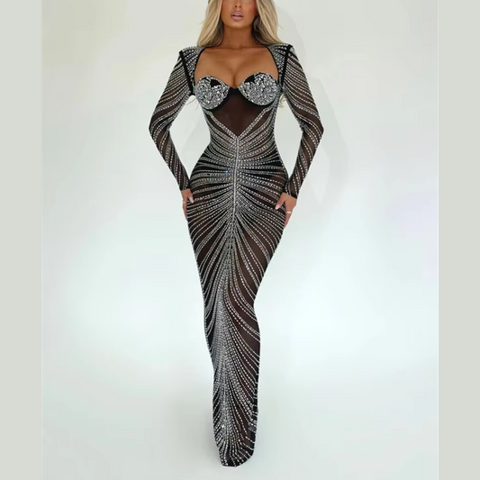 Letitia - Black Mesh Silver Embellished Maxi Bodycon Dress