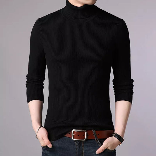 Asher - Pullover Turtle Neck Sweater - Model Mannequin