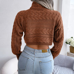 Zola - Brown Braided Turtleneck Crop Top - Model Mannequin