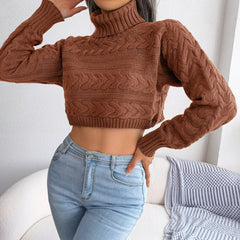 Zola - Brown Braided Turtleneck Crop Top - Model Mannequin